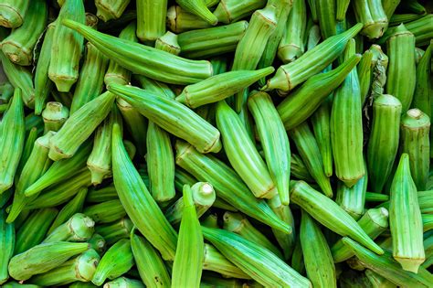 Seed Okra Baby Bubba — Better Homes And Gardens Shop