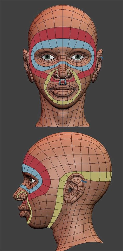 head topology character design character modeling face topology