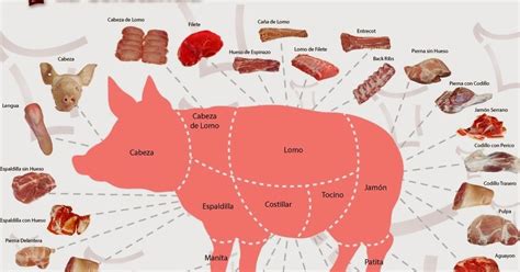 Cortes De Carne De Cerdo En Mexico Noticias De Carne