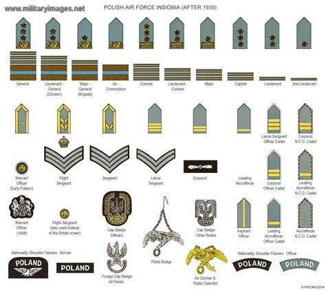 Polish Airforce Ranks After 1939 Militaryimagesnet Military Photo