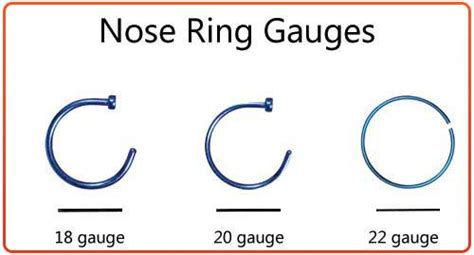 Quick Guide To Nose Ring Sizes On Nose Why The Sizing Is Important