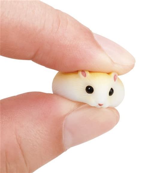 Colorful Hamster Mochi Random Capsule Toy Animal Squishy Squishies