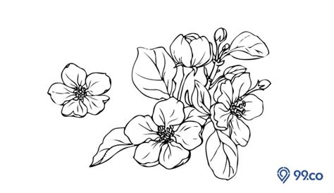 Cara Menggambar Bunga Yang Mudah Dan Simpel Yuk Tiru
