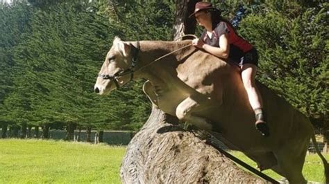 She Didnt Have A Horse So This New Zealand Teen Rides Her Cow Instead