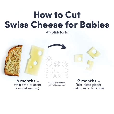 Swiss Cheese For Babies Can Babies Eat Swiss Cheese Solid Starts