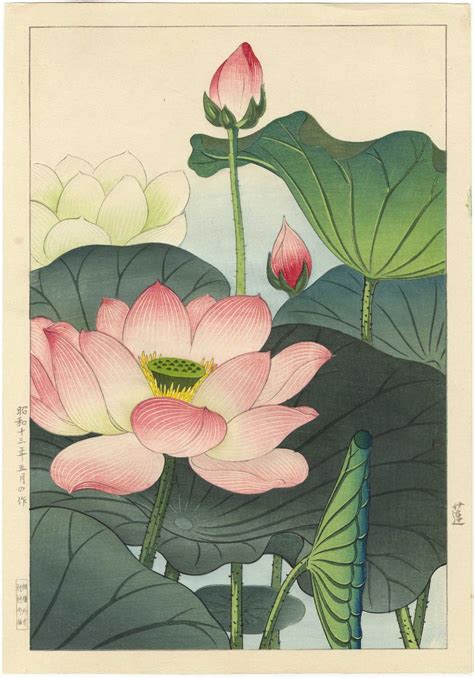 Nishimura Hodo Japanese Woodblock Print Lotus Blossoms Original 1938