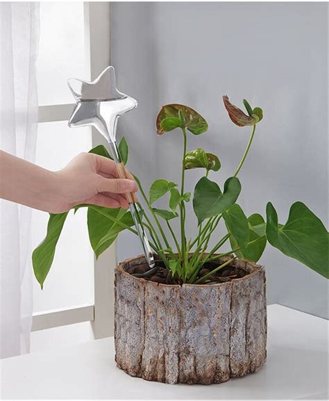 Indoor Plant Glass Watering Globes Self Watering Automatic Etsy