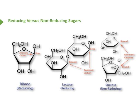 Reducing And Nonreducing Sugars Non 2019 01 18