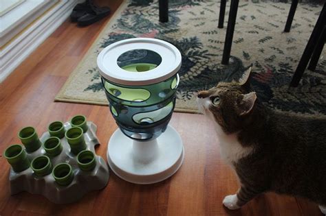 One of my cats puked up his food often after eating but stopped after i started using petromalt weekly. My Cat Eats Too Fast, Then Throws Up! 6 Easy Ways to Kitty ...