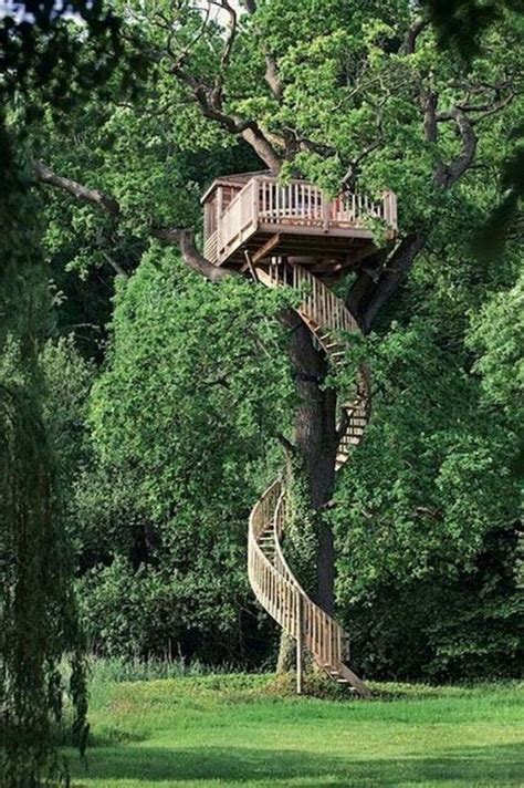 34 Stunning Tree House Designs You Never Seen Before Magzhouse