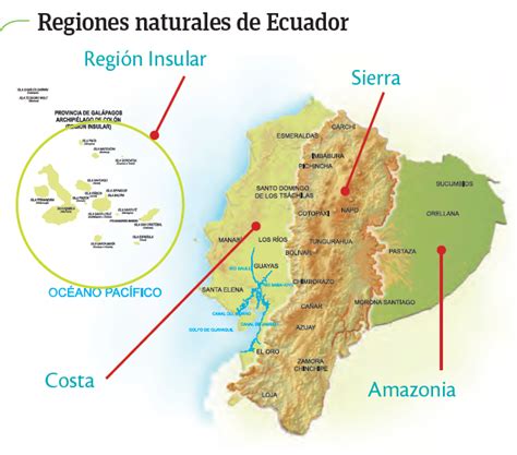 Regiones Naturales Del Ecuador Mapa Conceptual Kulturaupice
