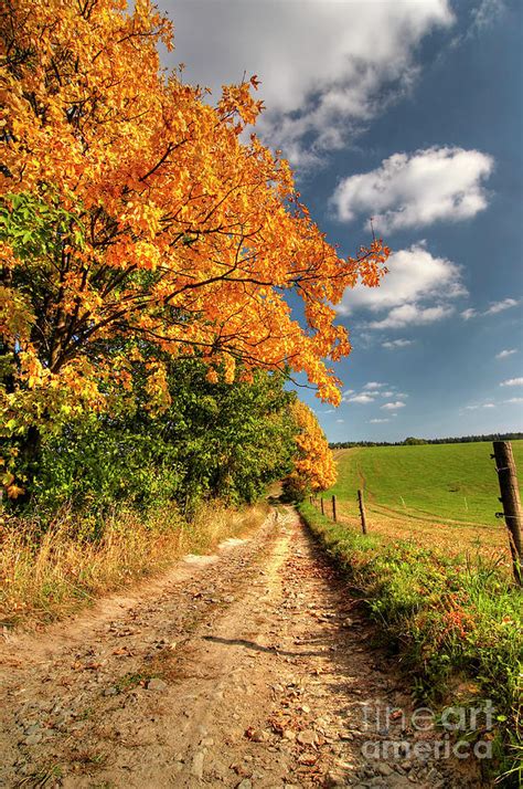Country Road And Autumn Landscape Photograph By Michal Boubin