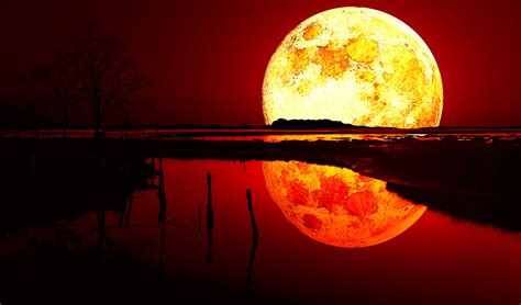 Red Moon Wallpapers Wallpaper Cave