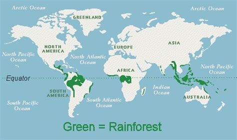 Worlds Tropical Rainforest The Worlds Tropical Rainforests