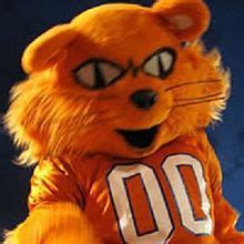 The bearkat onecard signifies your status as an active member of the sam houston state university community, serving as your official student identification card and much more. Sammy Bearkat - Wikipedia