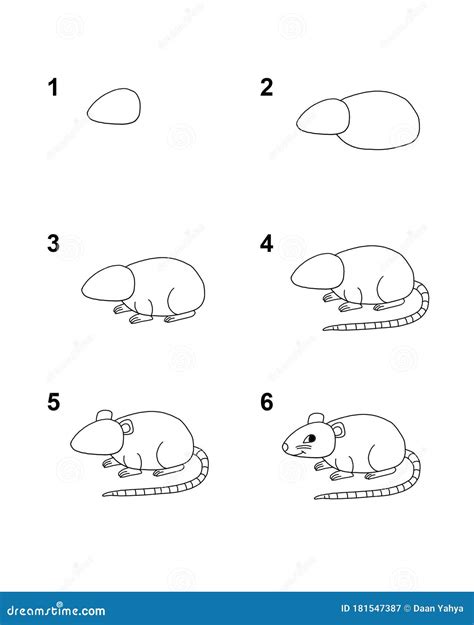 How To Draw Mouse Step By Step Cartoon Illustration With White