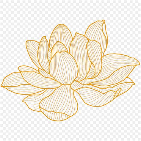 Hand Draw Flowers Vector Design Images Hand Draw Lotus Flower Vector