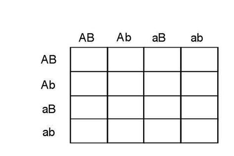 · determine the possible gene pairs donated by each parent. Punnett Square Practice Worksheet | Homeschooldressage.com