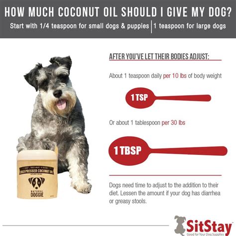 You should drink coconut water and eat coconut, and eat a little food, and only home cooked food without oil. Coconut Oil for Dogs - The Ultimate Guide 2020 - SitStay