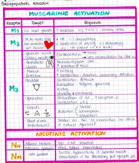 My Notes For Usmle Medical School Studying Medicine Notes