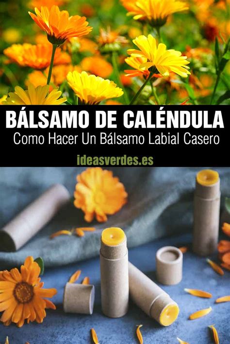 Cómo Hacer Un Bálsamo Labial De Caléndula El Secreto Para Unos Labios Saludables Ideas Verdes