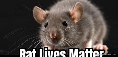 Rat Lives Matter Meme Generator