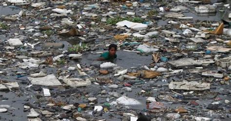 Plastic Waste Is Polluting The Seas Poisoning Marine Life