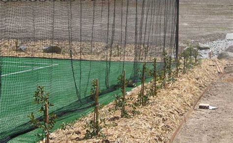 We are a tennis court construction company specialising in the melbourne, geelong, surf coast, great ocean road, mornington peninsula, western port, bass coast, gippsland & beyond. Tennis - ASTE