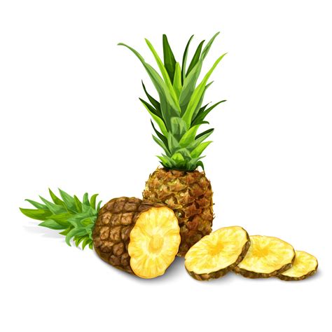 Pineapple Isolated Poster Or Emblem 459747 Vector Art At Vecteezy