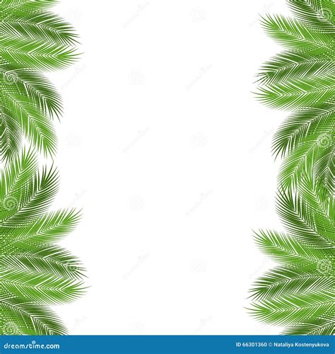 Palm Branch Template Stock Vector Illustration Of White 66301360