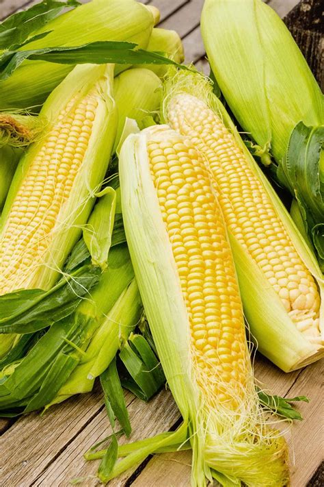 Recipes For Fresh Sweet Corn