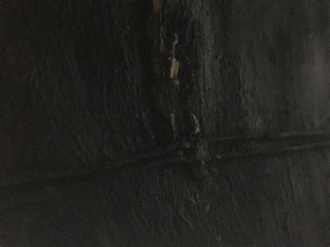 Module überleitstelle und berg * gestalten des. Spur-N FREMO Modulanlage - Baumbau an der Blockstelle Romanseich - Seite 12 - Stummis ...