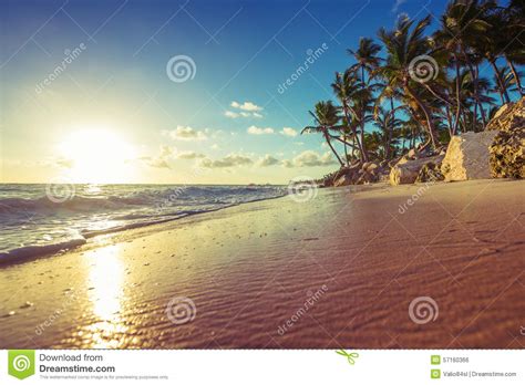 Landscape Of Paradise Tropical Island Beach Stock Photo Image Of