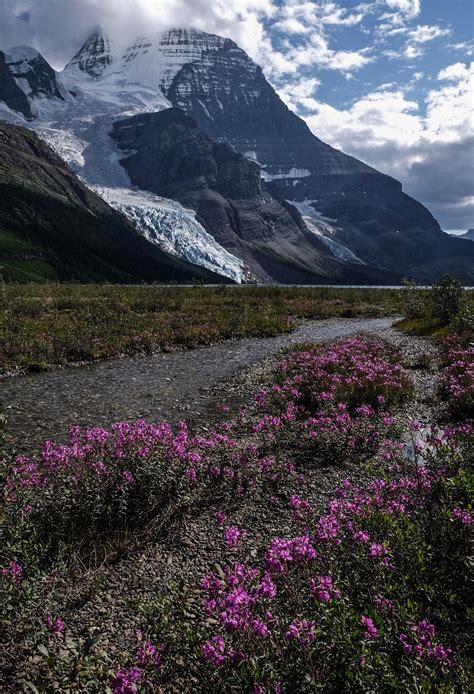 Is This Heaven No Its Just Mt Robson British Columbia Canada But