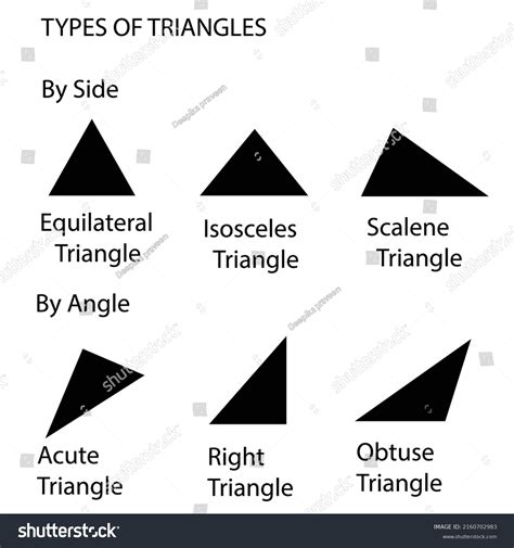 Different Types Triangles Vector Illustration Collection Stock Vector