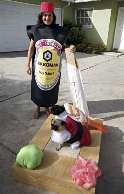 35 Awesome Homemade Matching Pet And Owner Couples Costumes Pet