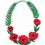 Frame Flower Oval Transparent Flowers Paint Onlygfx