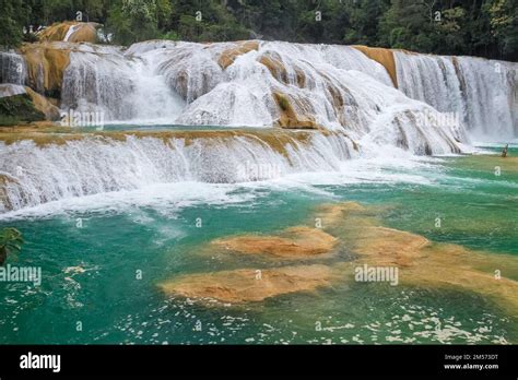 Agua Azul Waterfalls In Chiapas Mexico Stock Photo Alamy