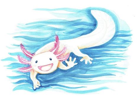 Axolotl Watercolor Painting Animal Drawings Axolotl Watercolor