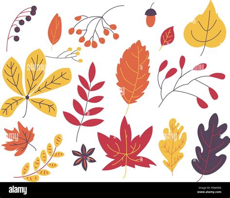 Autumn Leaves Vector Illustration Collection Stock Vector Image And Art Alamy