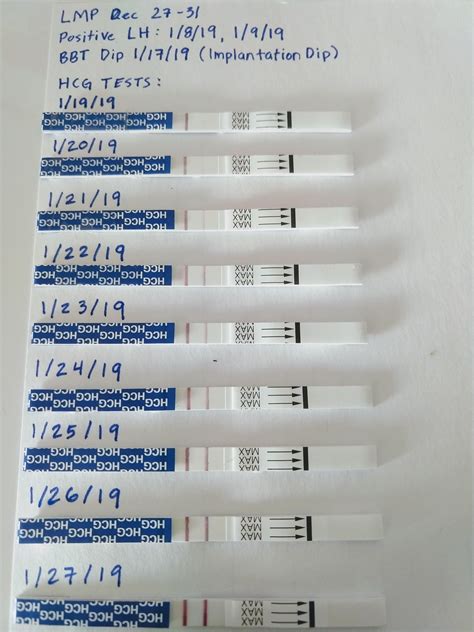 Hcg Levels After Implantation Chart In Pdf Download T - vrogue.co