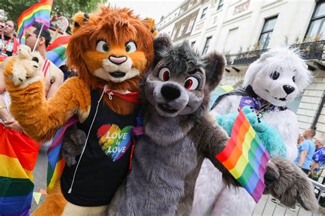 Furry Gay Pride Flag Seonaxre