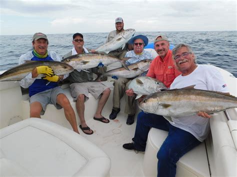 No August Amberjack The Hull Truth Boating And Fishing Forum