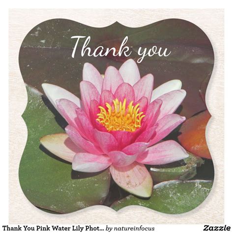 Thank You Pink Water Lily Photo Appreciation Paper Coaster Coaster