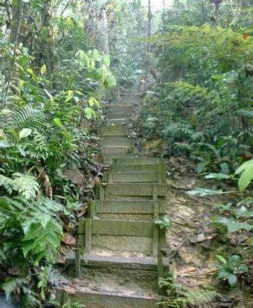 Bukit gasing is one of the hills that i frequently hike every weekend. Hutan Pendidikan Bukit Gasing Entrance - Petaling Jaya