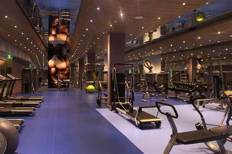 Gym Interior Gym Design Wellness Design