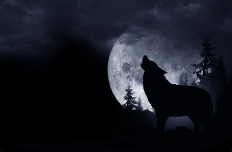 The ‘wolf Moon Will Rise In The Sky This Week Heres How You Can Best