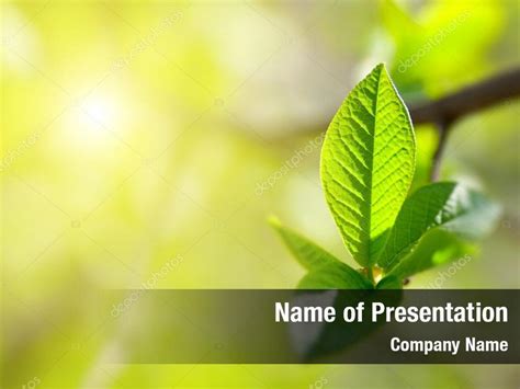 Tree Green Leaves Highlighted Powerpoint Template Tree Green Leaves