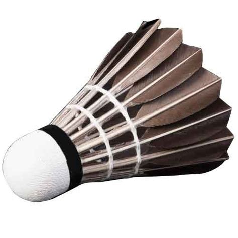 Phyopus badminton birdie, 12 pack duck feather badminton shuttlecocks with great stability & durability, high speed sports training badminton balls for indoor outdoor game (milky white) 4.5 out of 5 stars 36. Gyronax Feather Badminton Shuttlecock, Packaging Size: 10, Rs 75 /pack | ID: 13501829148