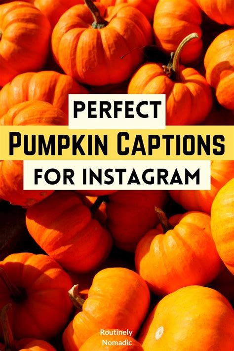 A Pile Of Orange Pumpkins With The Words Perfect Pumpkin Captions For